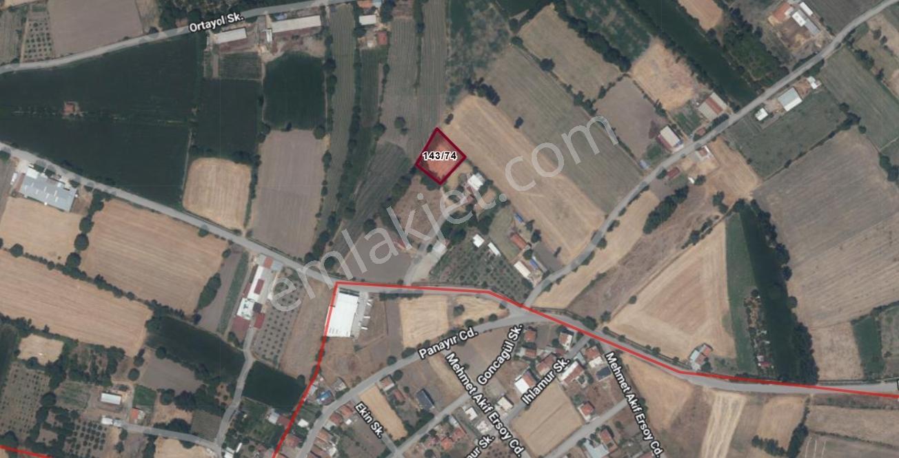 Mir'den Balıkesir Kepsut Camicedit Mah. 1568 M2 Satılık Tarla - Görsel 12
