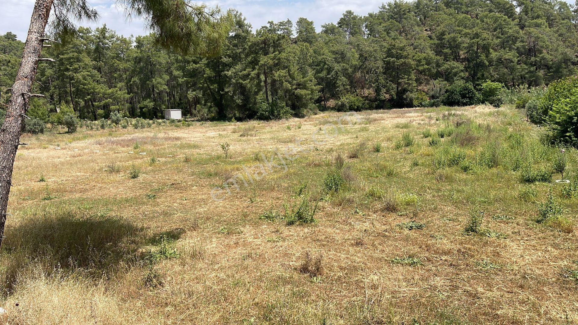 Goldhouse Dan Satılık Fethiye Yanıklarda 340 M2 Arsa