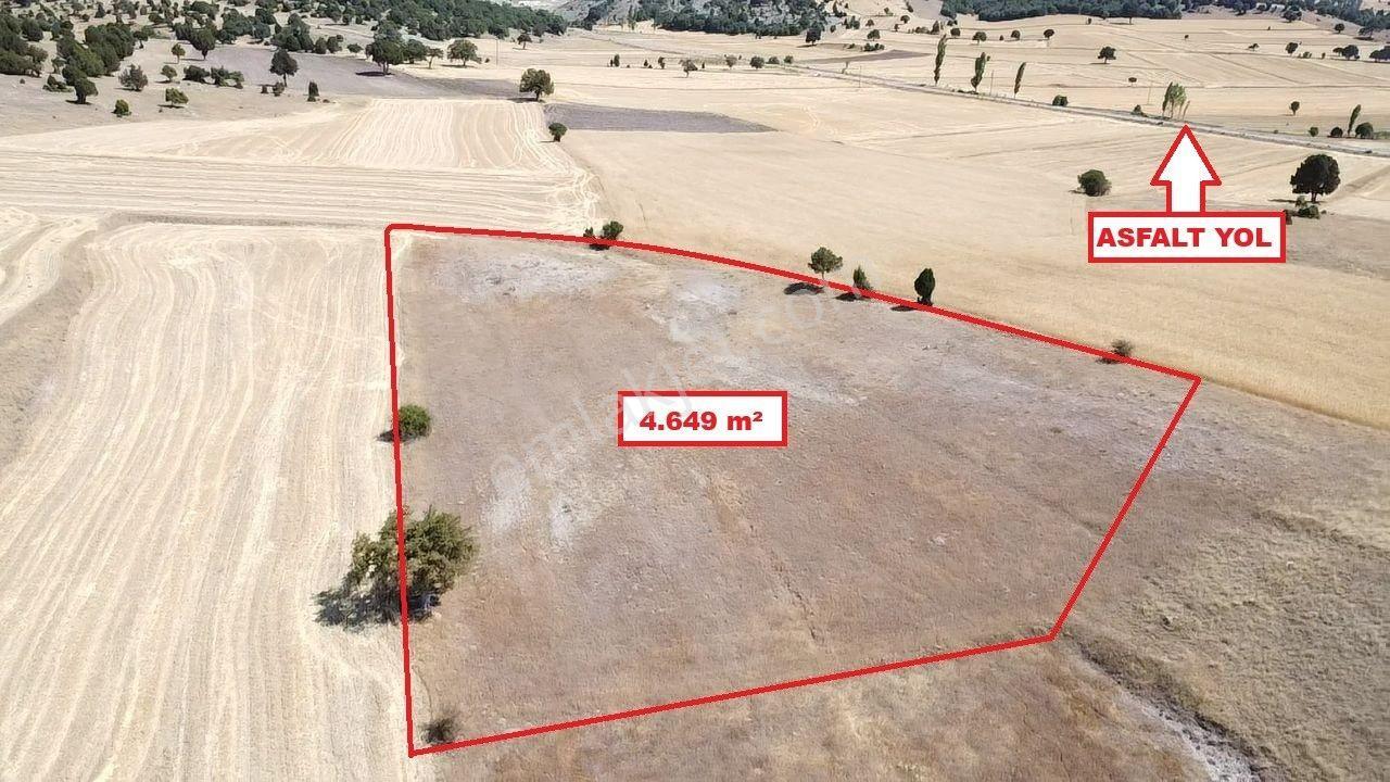 Kütahya Merkez Ahiler' De 4649 M2 Satılık Tarla - Görsel 11