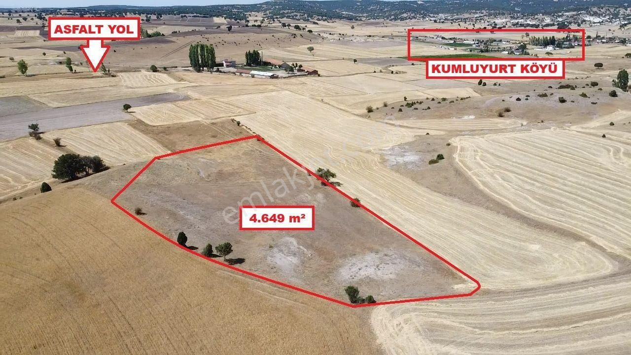 Kütahya Merkez Ahiler' De 4649 M2 Satılık Tarla - Görsel 3