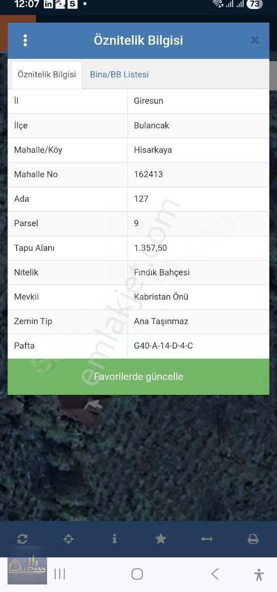 Uzman Emlak'tan Satılık Yol Kenarı Fındık Bahçesi - Görsel 3