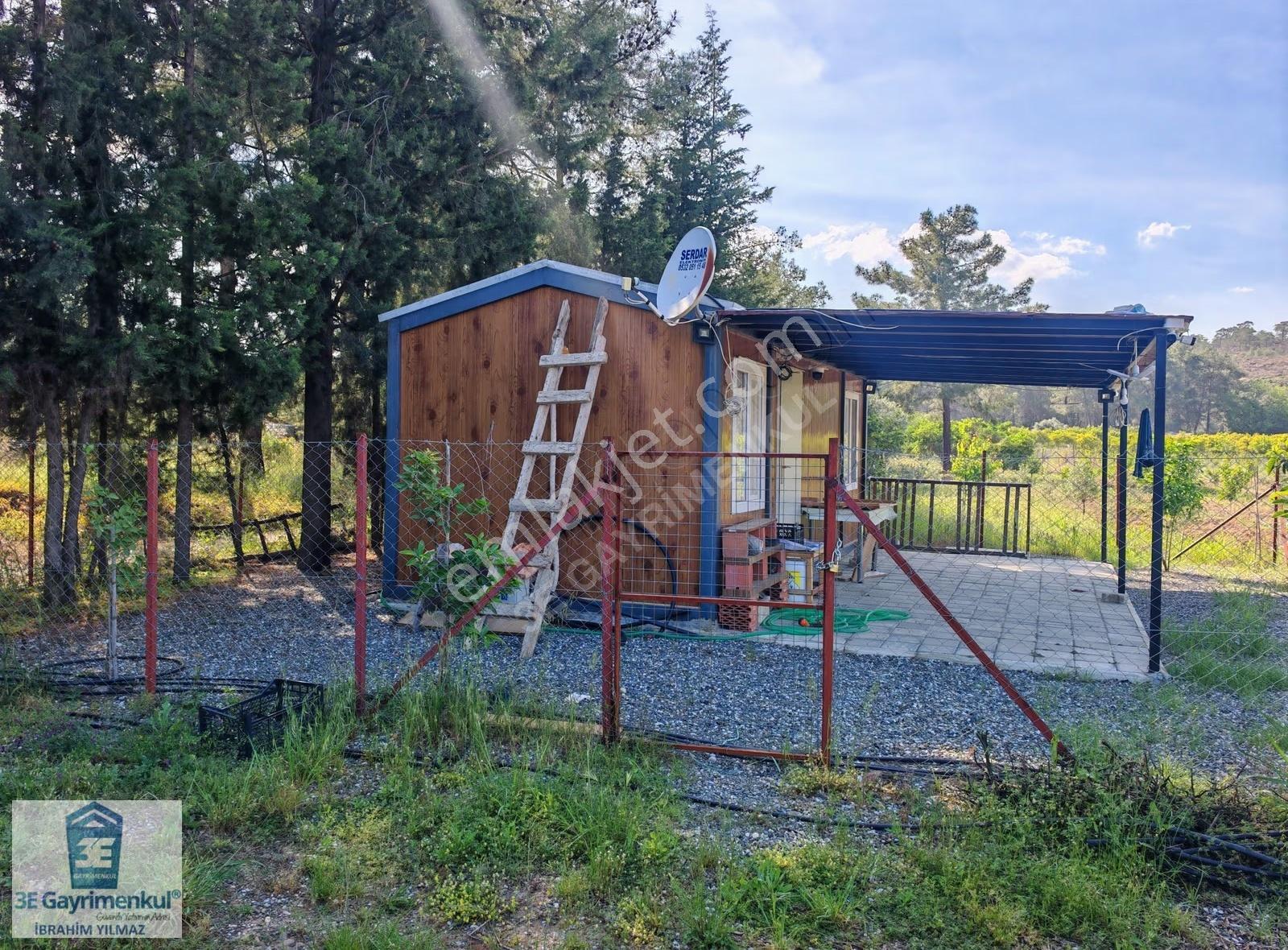 Köyceğiz Döğüşbelen'de 544 M2 Narenciye Bahçesi 3e Emlak - Görsel 19