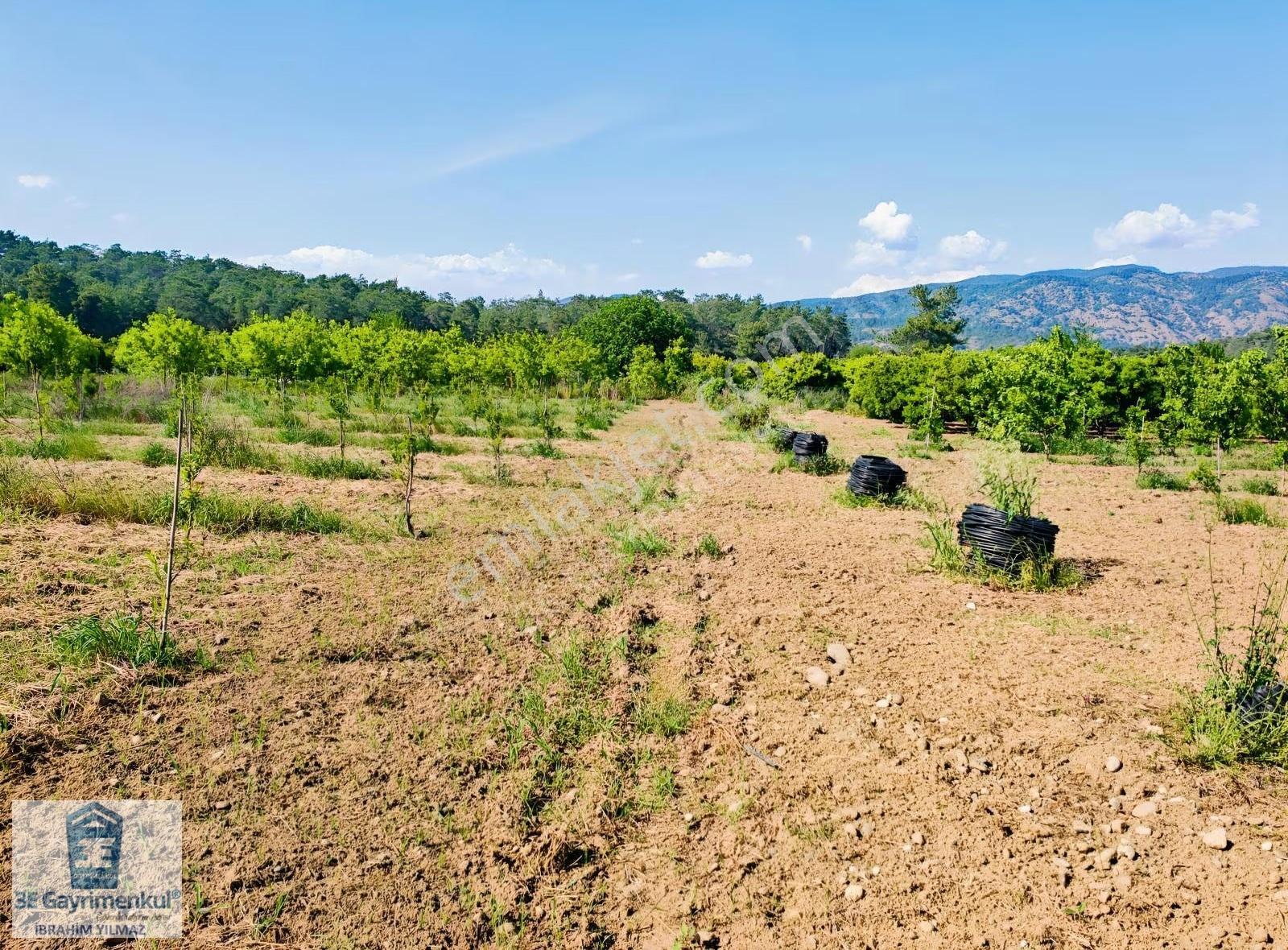 Köyceğiz Döğüşbelen'de 544 M2 Narenciye Bahçesi 3e Emlak - Görsel 11