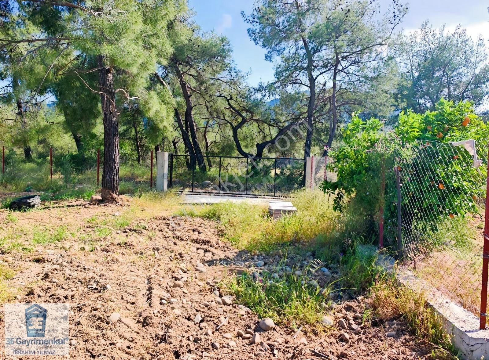 Köyceğiz Döğüşbelen'de 544 M2 Narenciye Bahçesi 3e Emlak - Görsel 8