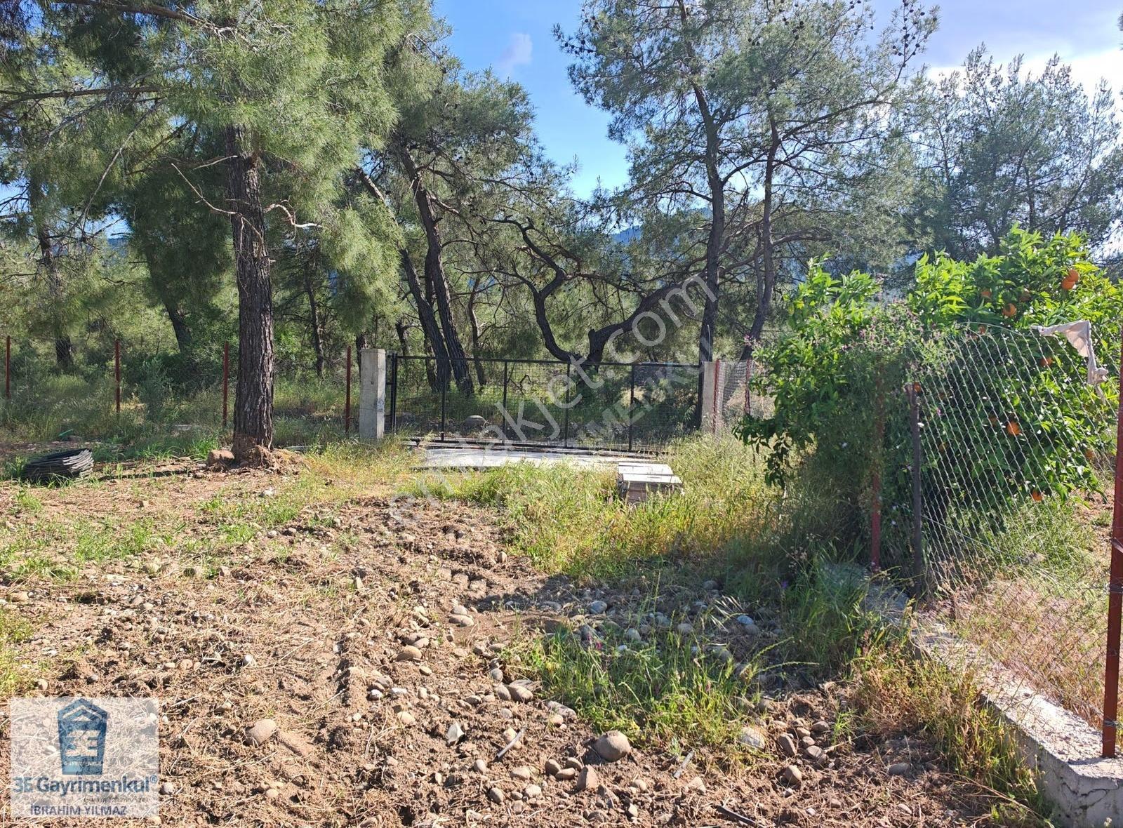 Köyceğiz Döğüşbelen 1816 M2 İmarlı Narenciye Bahçesi 3e Emlak - Görsel 22
