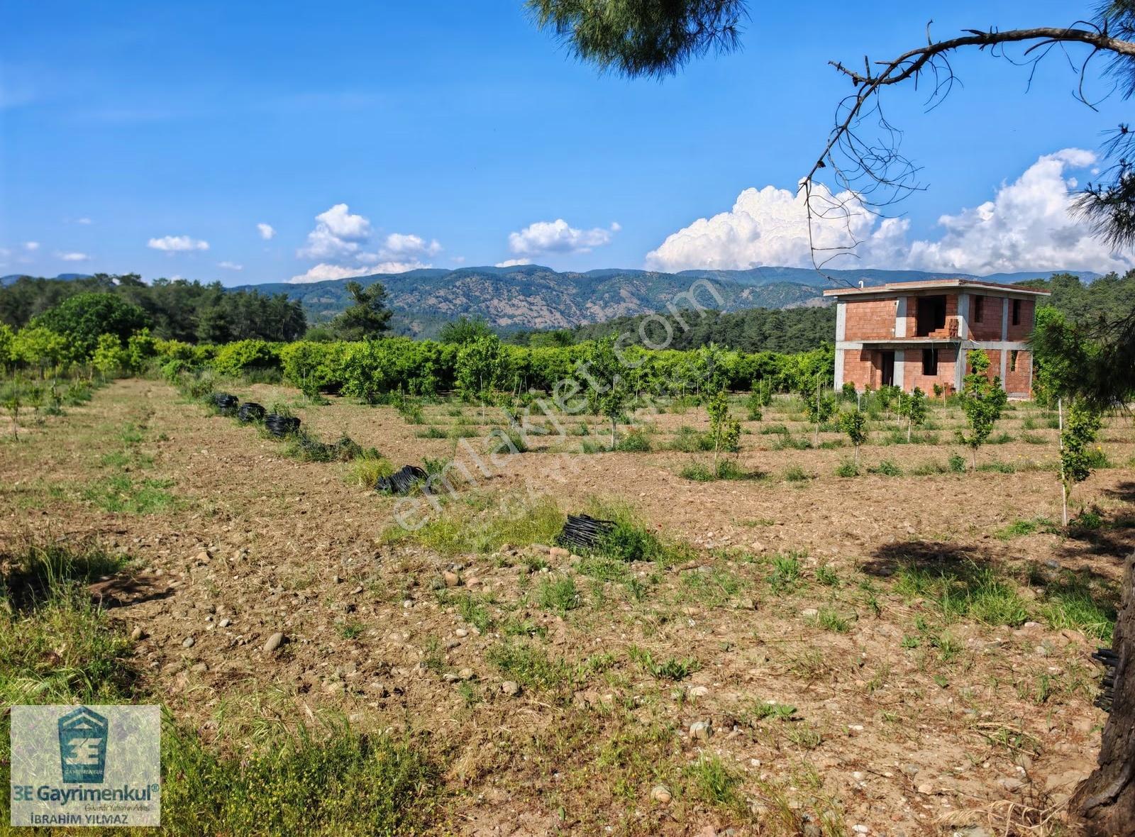 Köyceğiz Döğüşbelen 1816 M2 İmarlı Narenciye Bahçesi 3e Emlak - Görsel 7