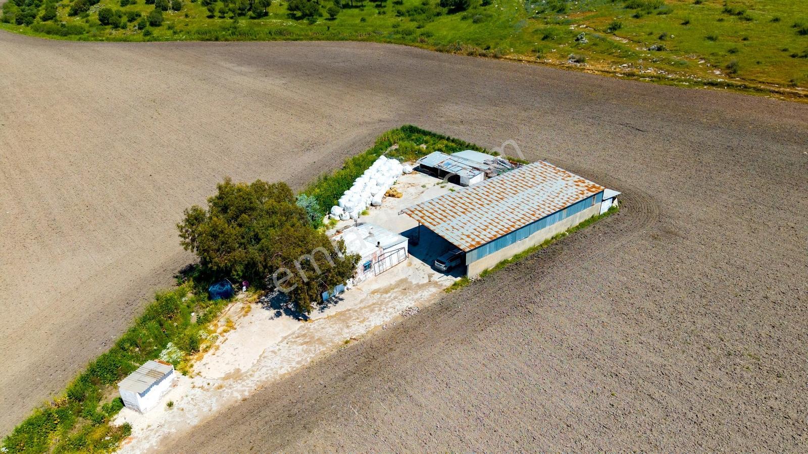 Dikili İsmetpaşa Mah. Satılık 34 Dönüm Tarla - Görsel 16