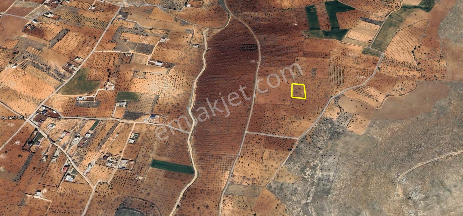 Bağlarbaşı Mahallesinde İmara Yakın Konumda Satılık Fıstık Bahçesi - Görsel 11