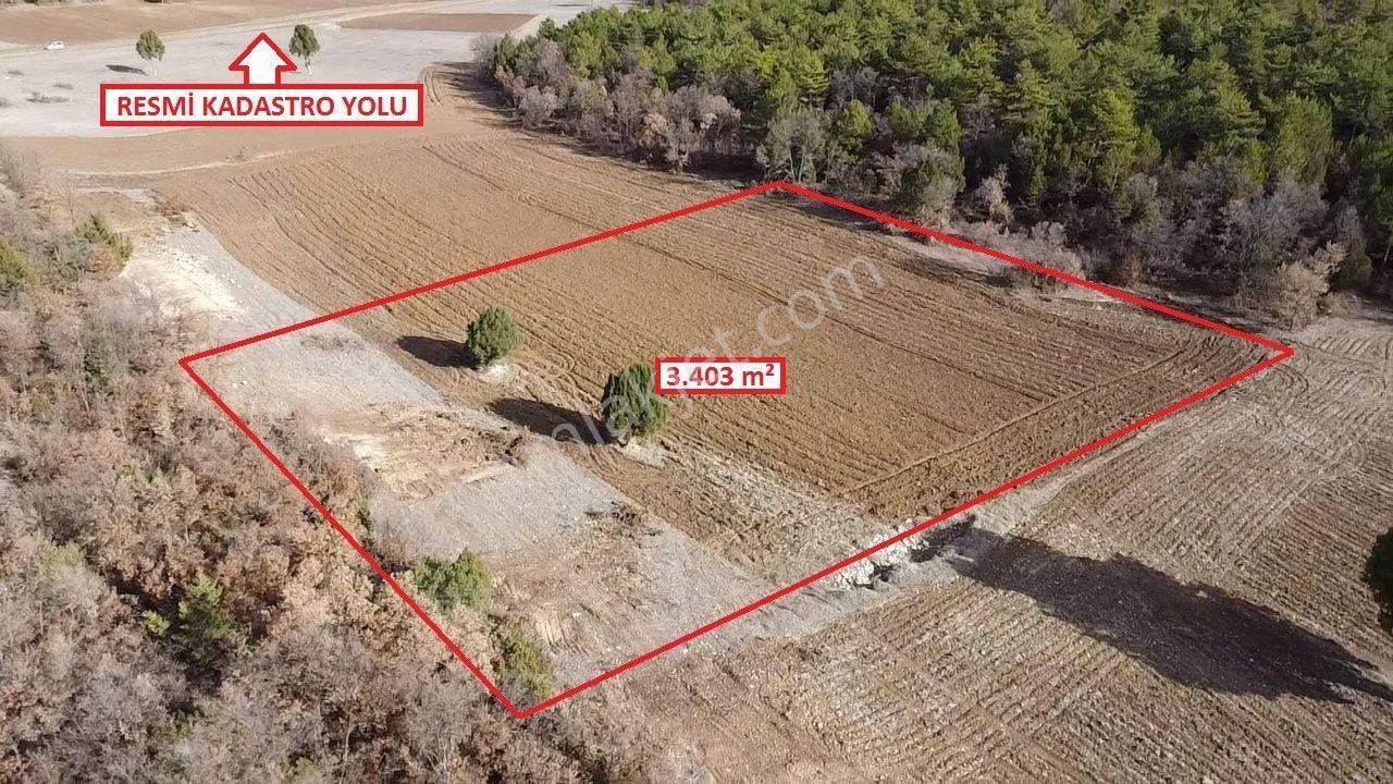 Kütahya Altıntaş Akçaköy' De 3403 M2 Satılık Tarla - Görsel 20