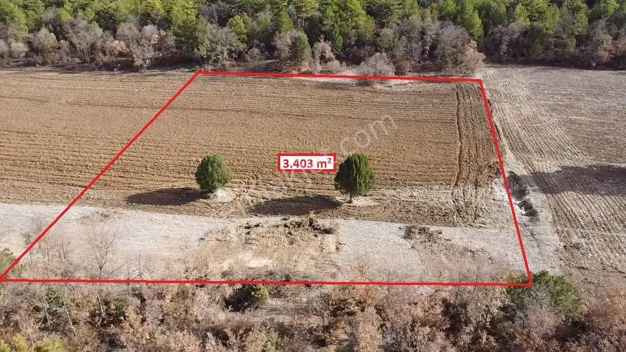 Kütahya Altıntaş Akçaköy' De 3403 M2 Satılık Tarla - Görsel 19