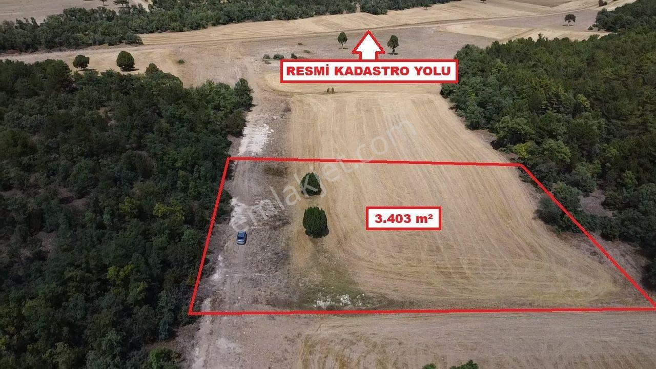Kütahya Altıntaş Akçaköy' De 3403 M2 Satılık Tarla - Görsel 22
