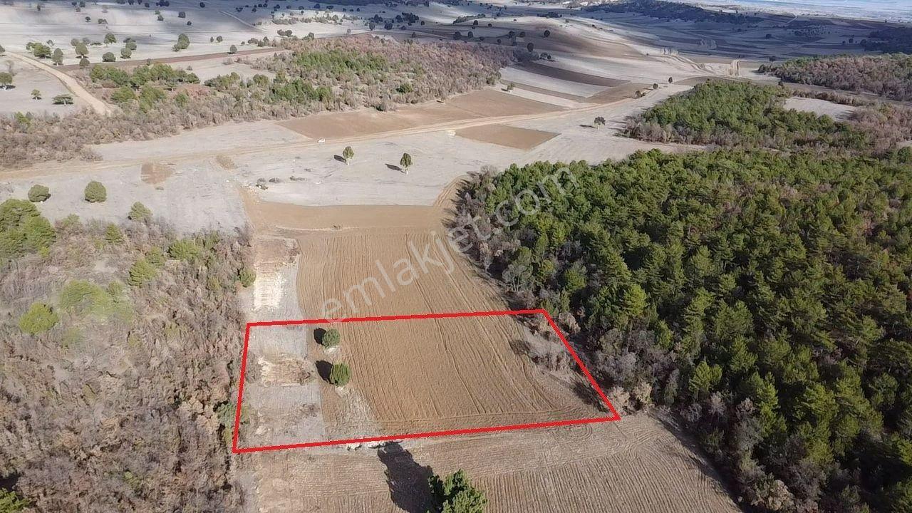 Kütahya Altıntaş Akçaköy' De 3403 M2 Satılık Tarla - Görsel 30
