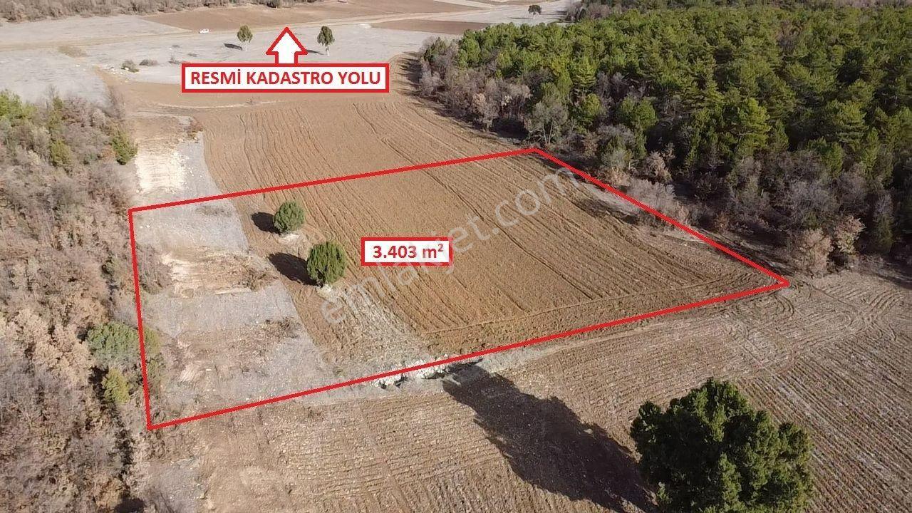 Kütahya Altıntaş Akçaköy' De 3403 M2 Satılık Tarla - Görsel 4
