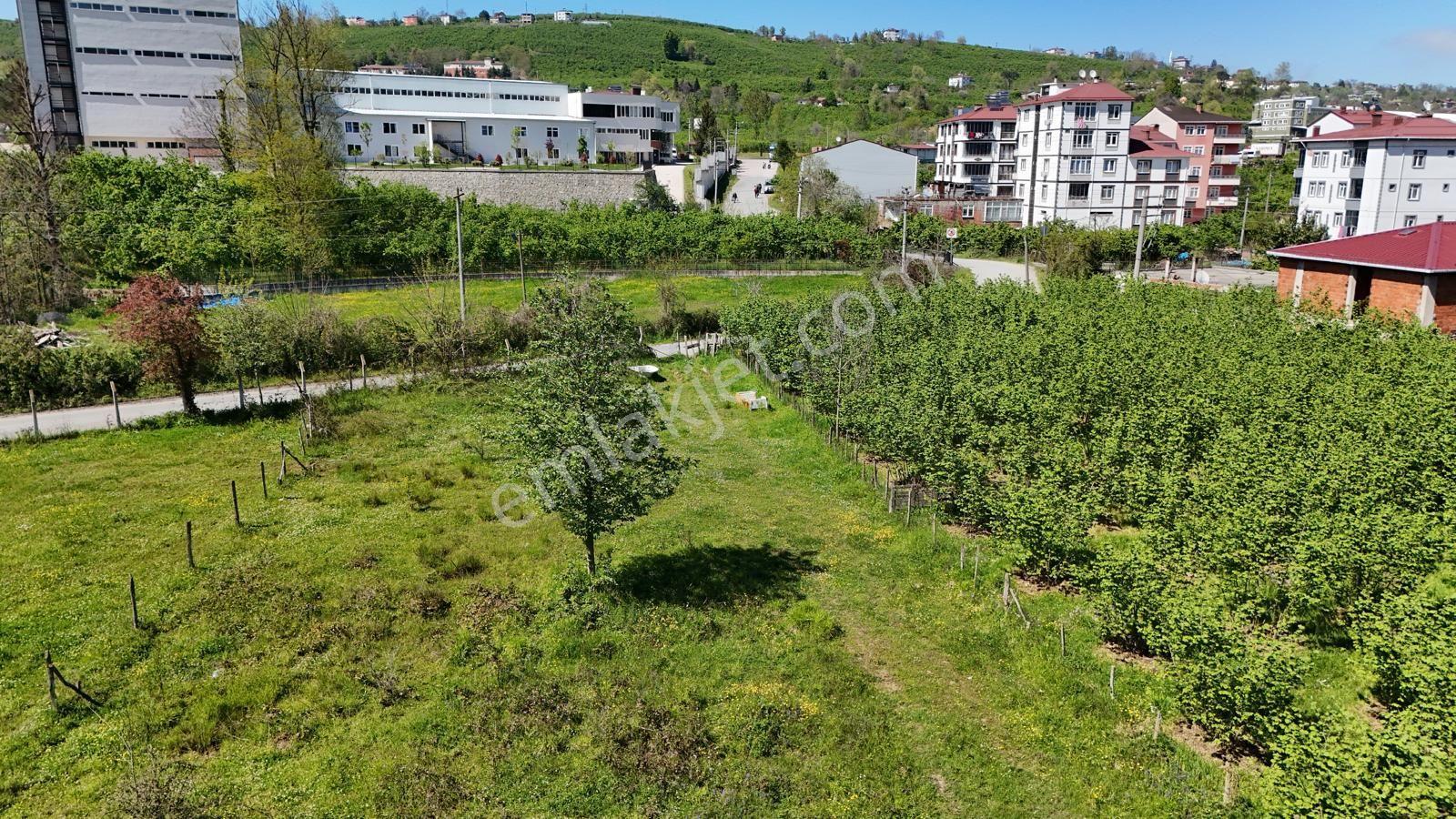 Karaca Ömerde Satılık Ticari Arsa - Görsel 17
