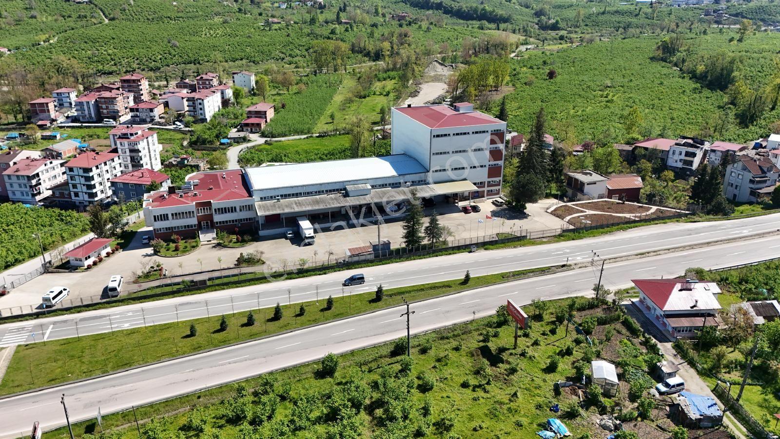 Karaca Ömerde Satılık Ticari Arsa - Görsel 7