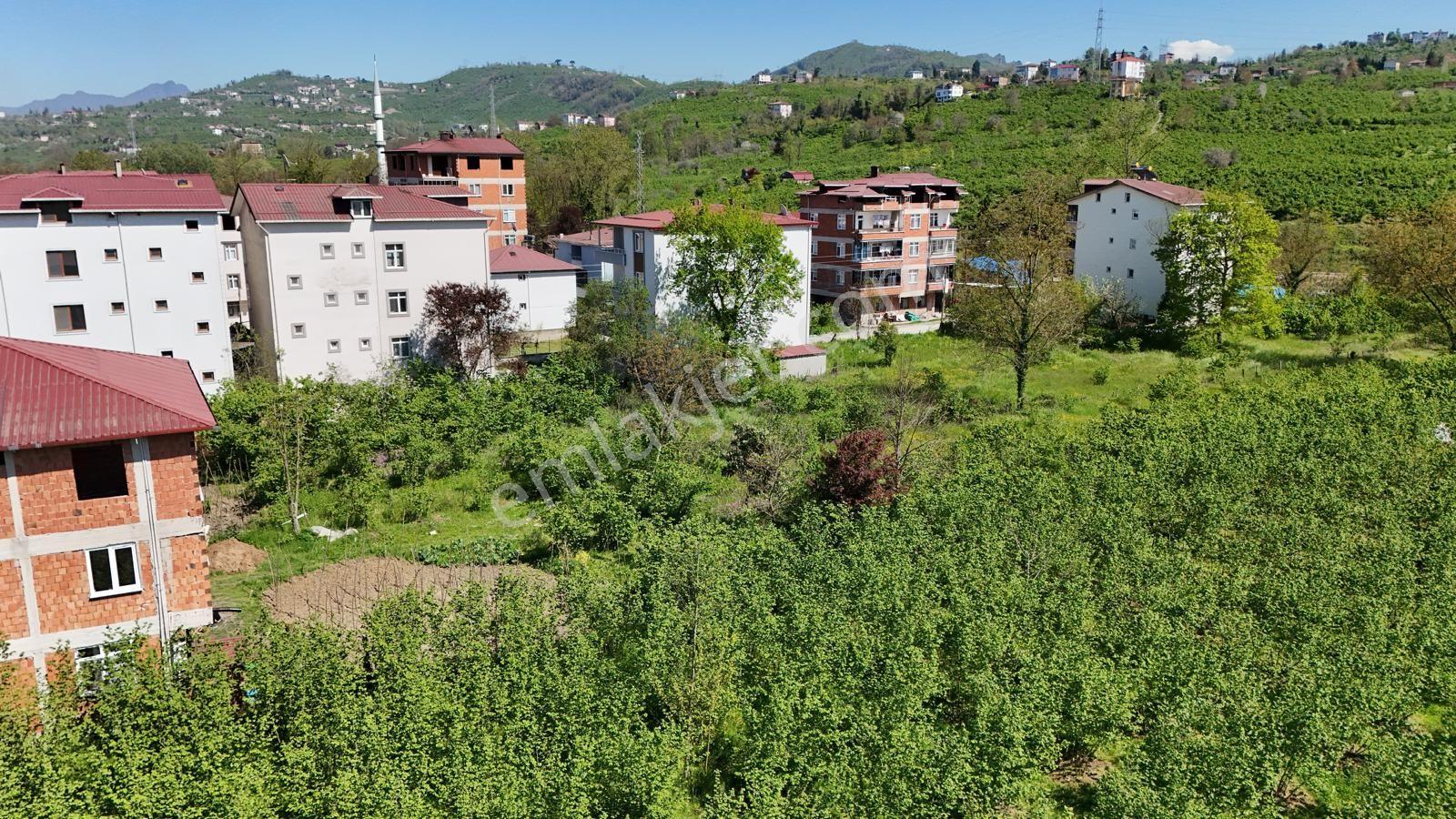 Karaca Ömerde Satılık Ticari Arsa - Görsel 21