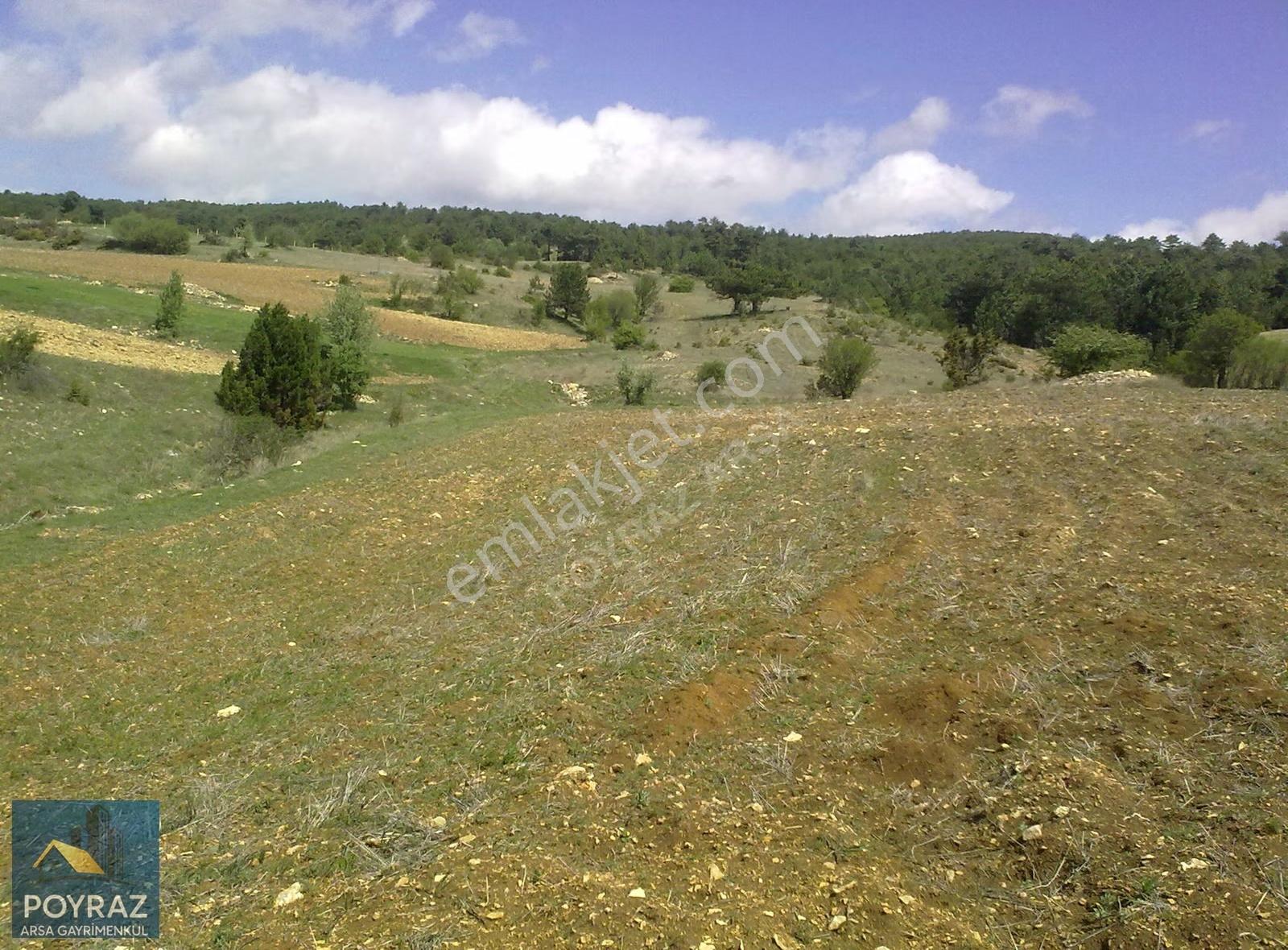 Kütahya Altıntaş Oysu'da 12.084m² Satılık Tarla - Yatırım Fırsat - Görsel 5