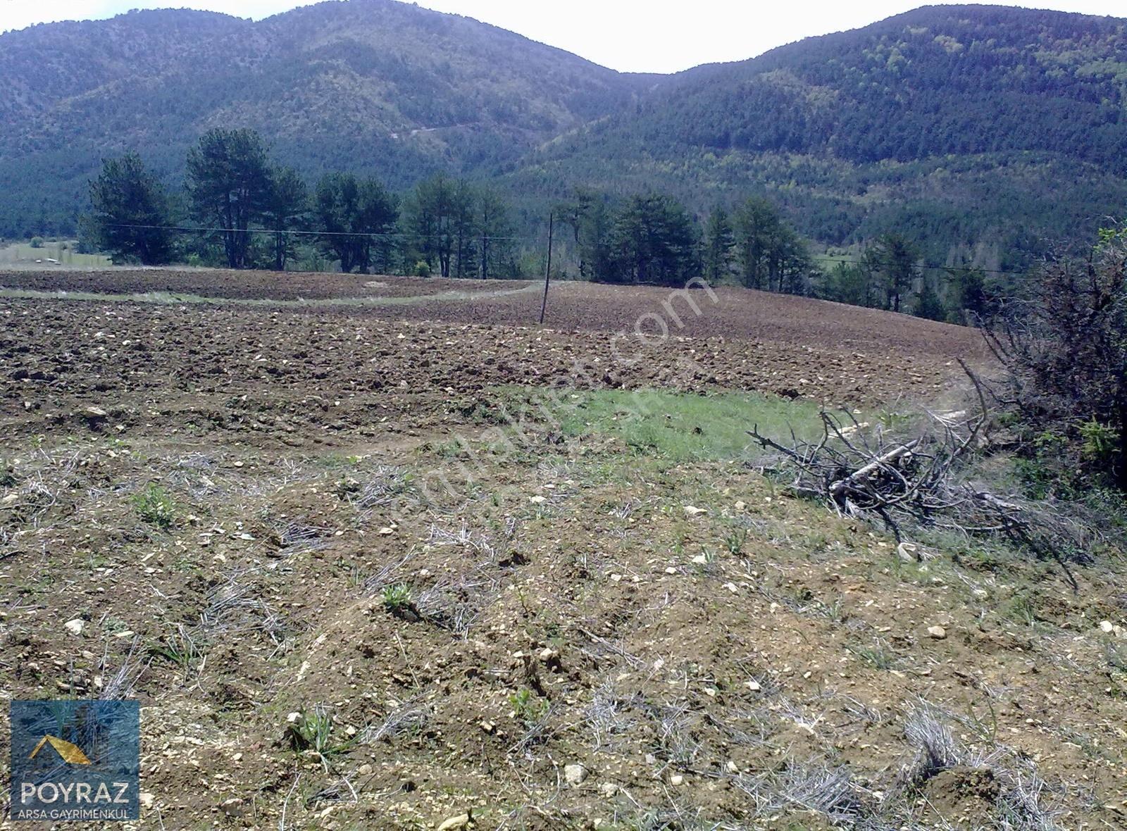 Kütahya Altıntaş Oysu'da 12.084m² Satılık Tarla - Yatırım Fırsat - Görsel 8