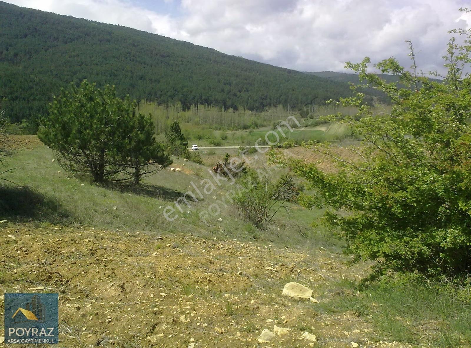 Kütahya Altıntaş Oysu'da 12.084m² Satılık Tarla - Yatırım Fırsat - Görsel 9