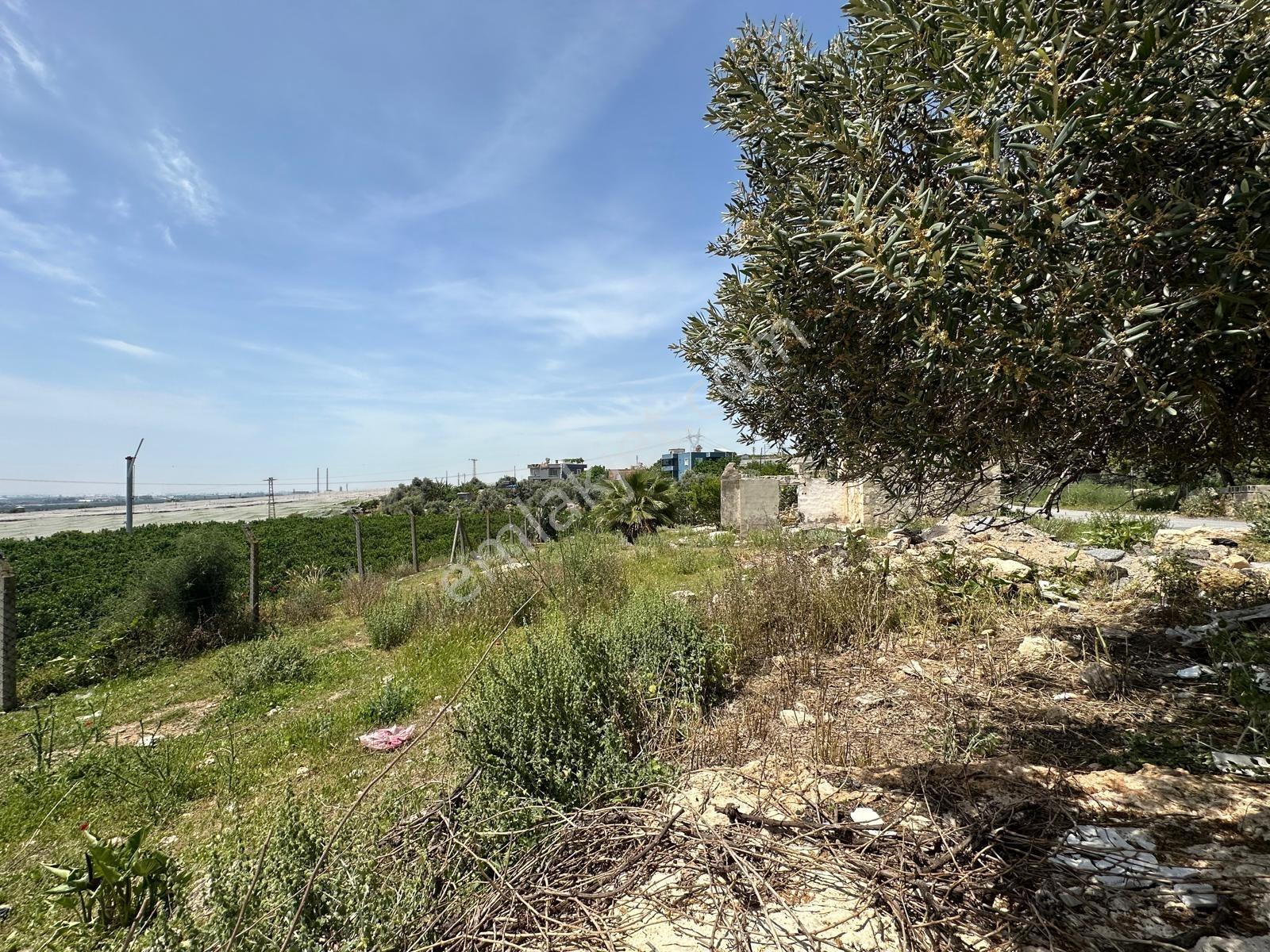 New Formdan Mersin Akdeniz Bağlarbaşı Mahallesi Satılık Tarla - Görsel 21