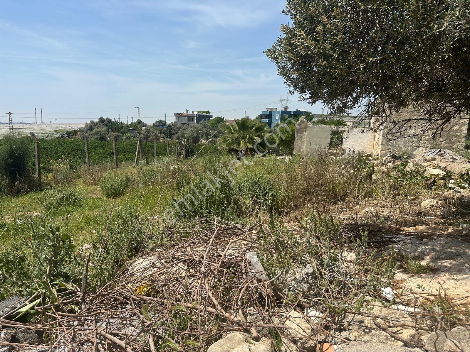 New Formdan Mersin Akdeniz Bağlarbaşı Mahallesi Satılık Tarla - Görsel 16
