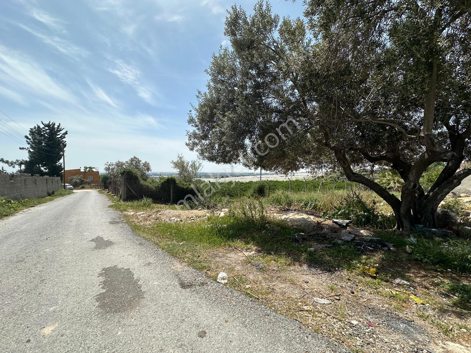 New Formdan Mersin Akdeniz Bağlarbaşı Mahallesi Satılık Tarla - Görsel 23