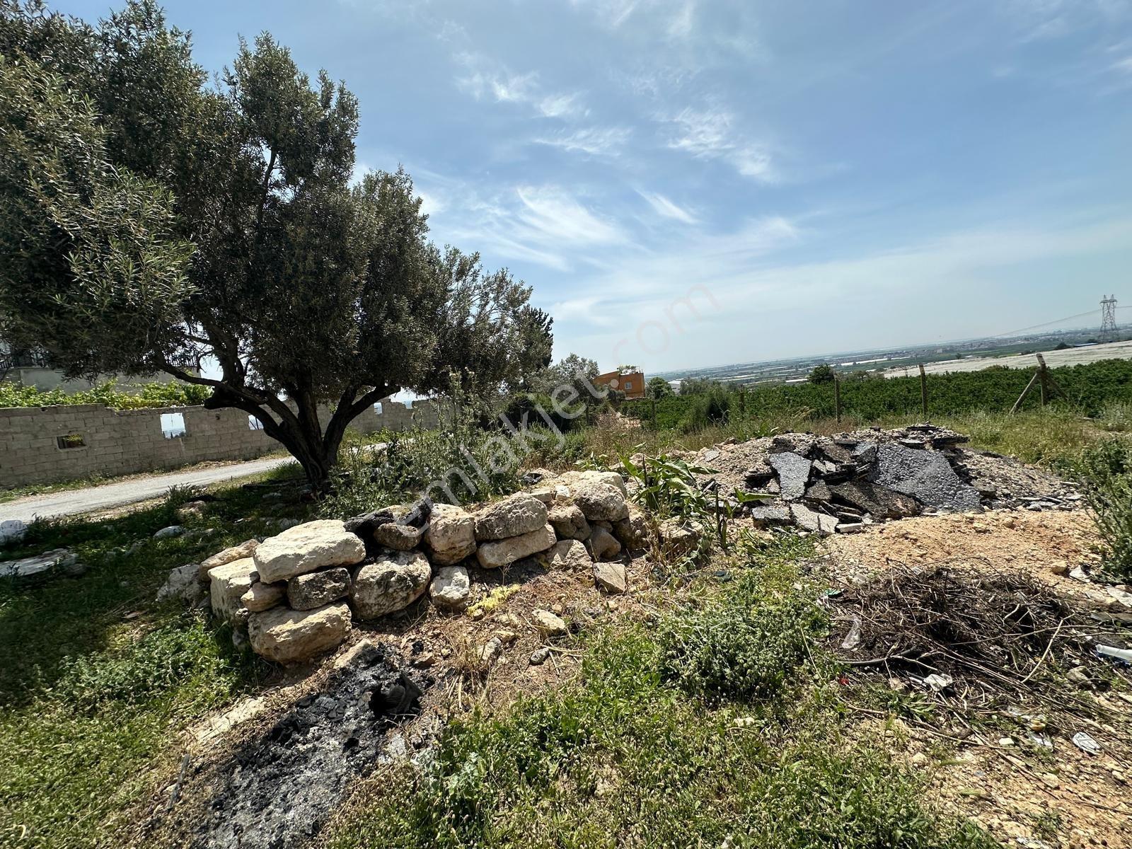 New Formdan Mersin Akdeniz Bağlarbaşı Mahallesi Satılık Tarla - Görsel 17