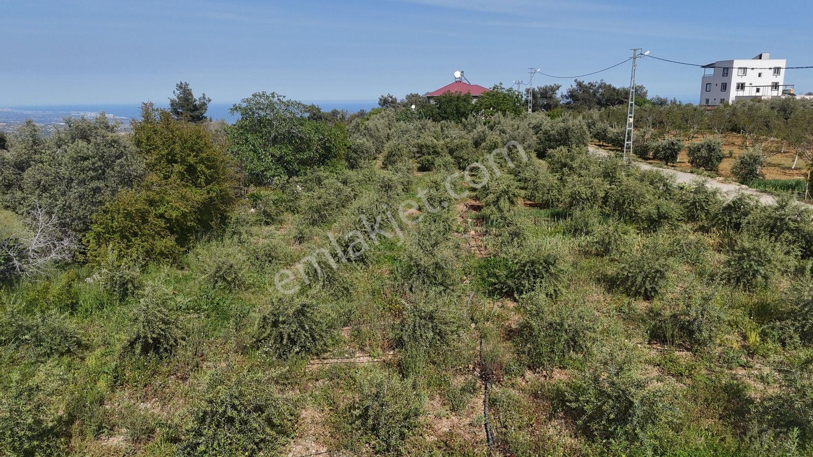 Erdemli Batısandal 455 M2 Denize 10 Km Villa İmarlı Arsalar - Görsel 20