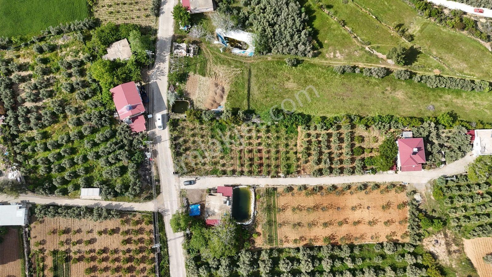 Erdemli Batısandal 455 M2 Denize 10 Km Villa İmarlı Arsalar - Görsel 13