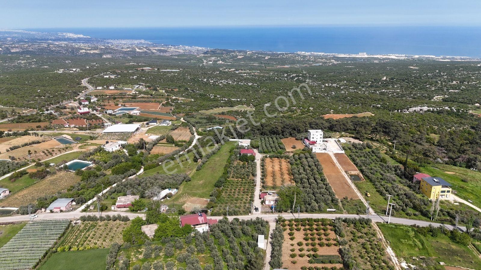 Erdemli Batısandal 455 M2 Denize 10 Km Villa İmarlı Arsalar - Görsel 12