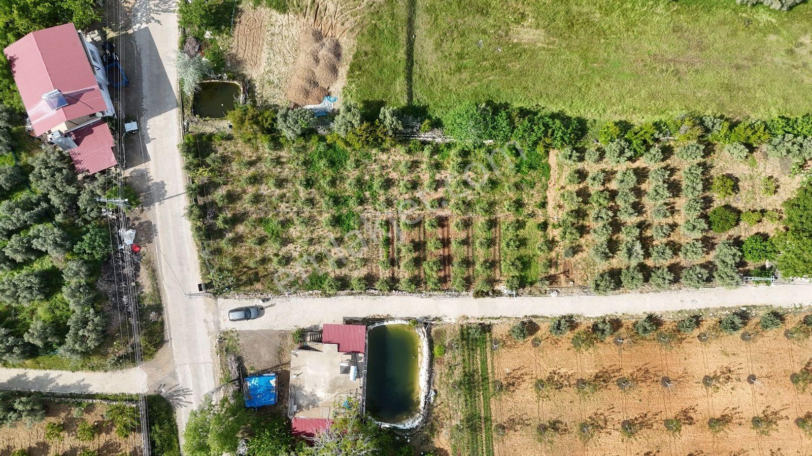 Erdemli Batısandal 455 M2 Denize 10 Km Villa İmarlı Arsalar - Görsel 19
