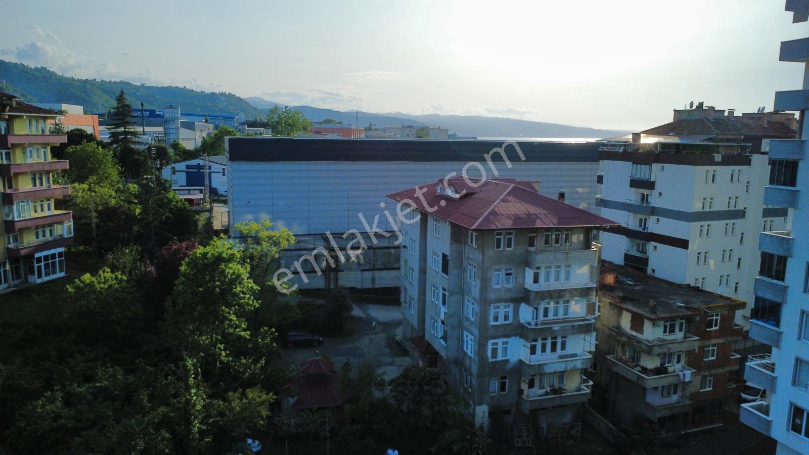 Arsin Organize Yanında Trb-rize Sahil Yoluna Yakın İmarlı Arsa - Görsel 5