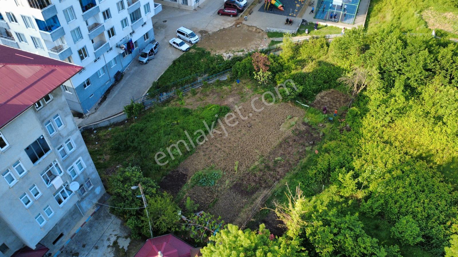 Arsin Organize Yanında Trb-rize Sahil Yoluna Yakın İmarlı Arsa - Görsel 6