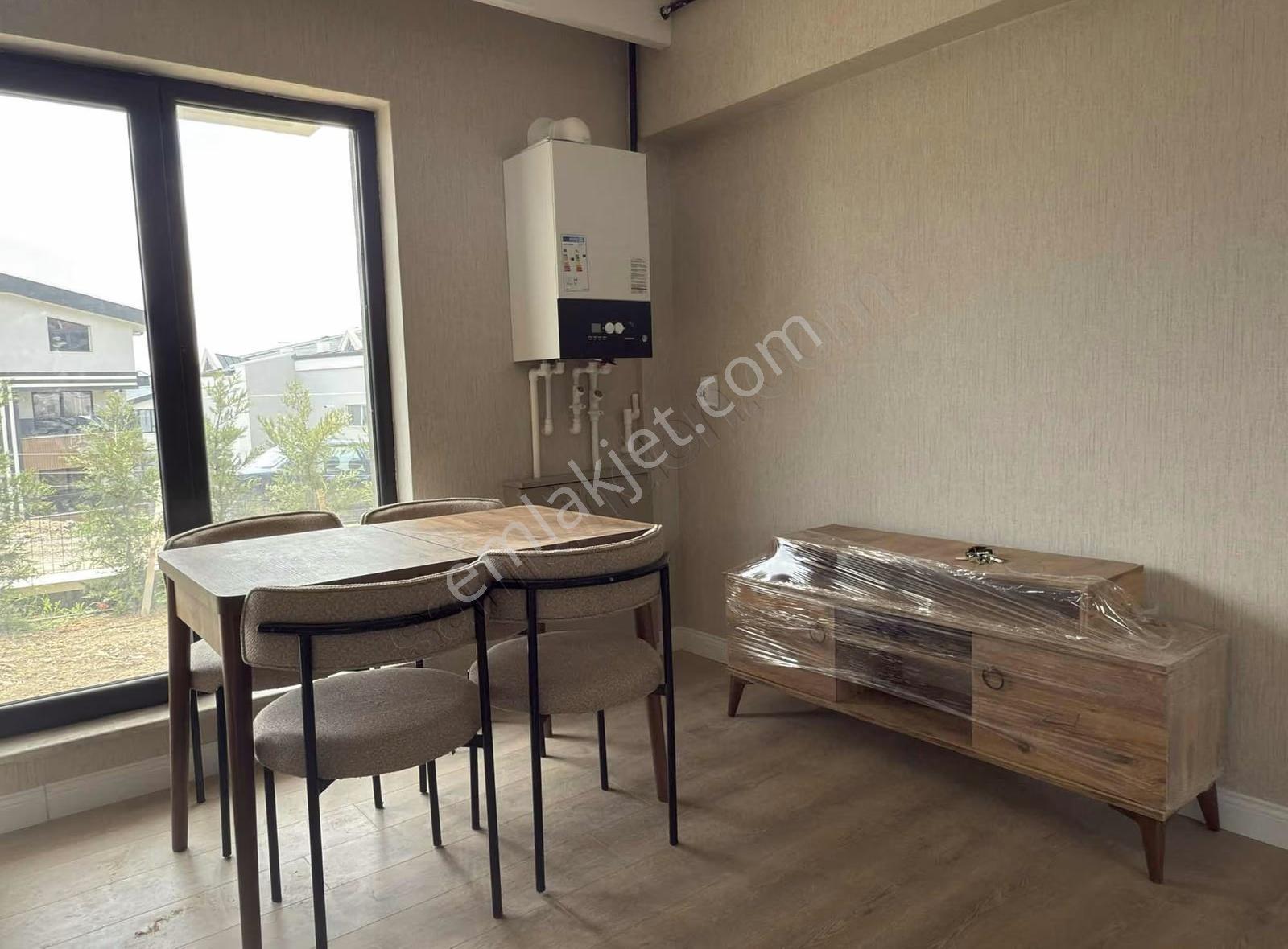 Pogadan Taşpınarda Bahçeli Kiracılı Yatırımlık Süper Daire - Görsel 3
