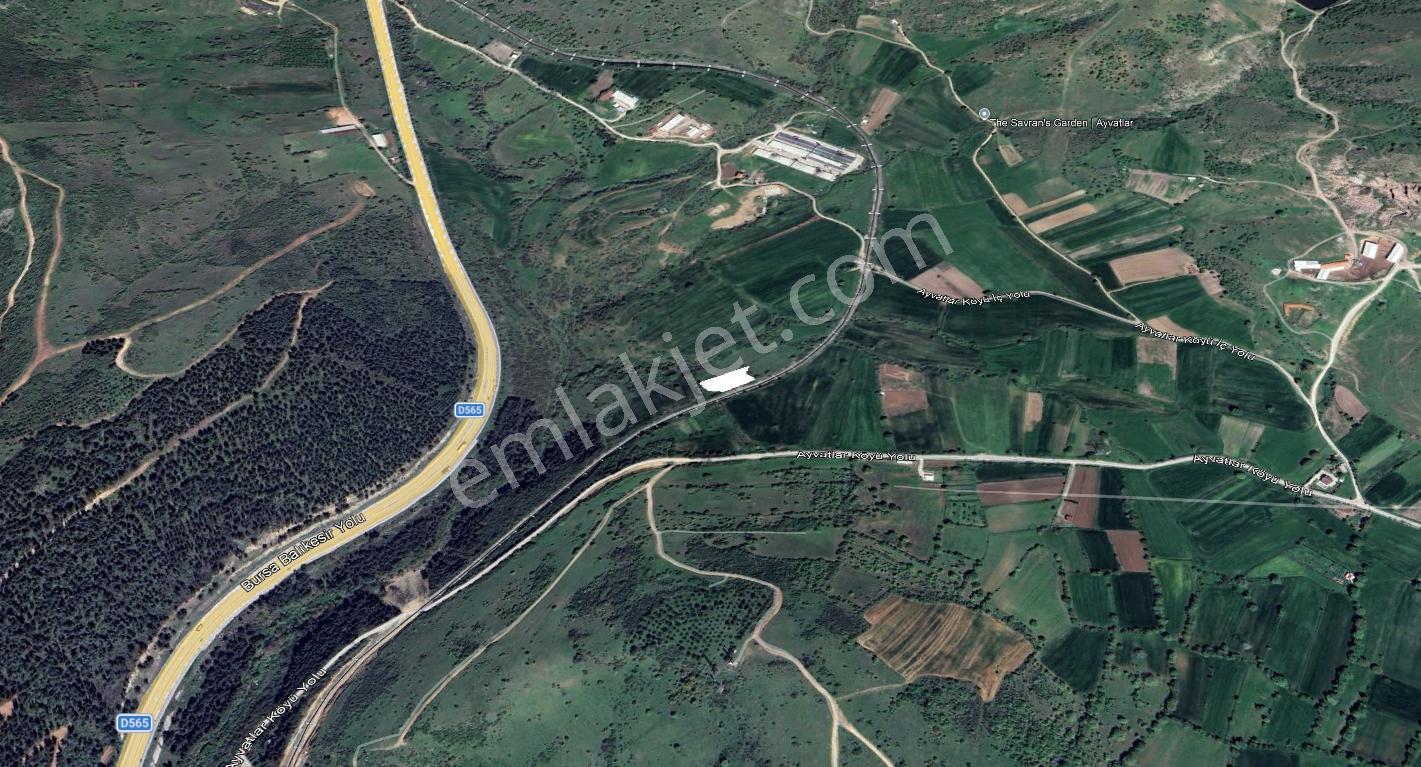 Satılık 1.963 M2 Tarla Ayvatlar Mah. - Görsel 9