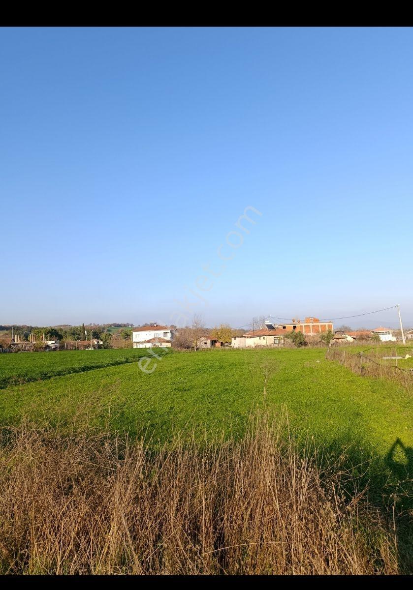 Karalarçiftliği Satılık İmarlı Arsa