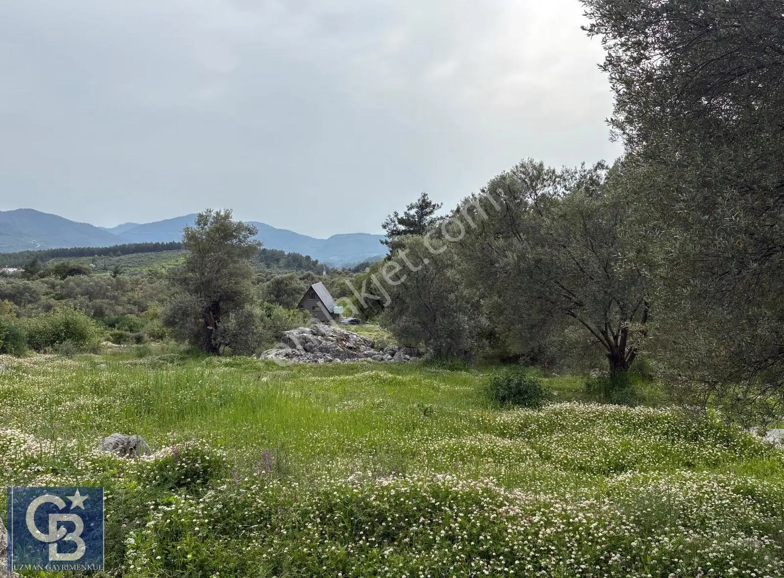 Muğla Dalaman Kayadibi Mahallesinde Çok Kıymetli Bir Arazi.