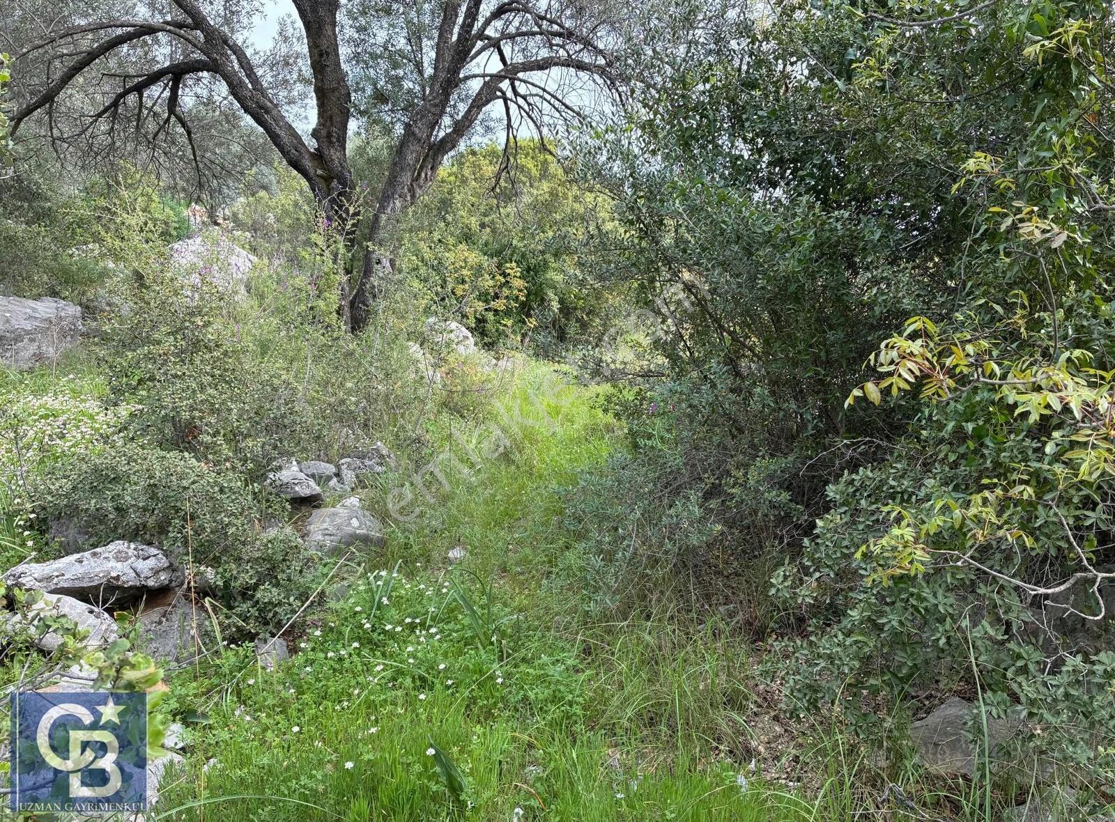 Muğla Dalaman Kayadibi Mahallesinde Çok Kıymetli Bir Arazi. - Görsel 18