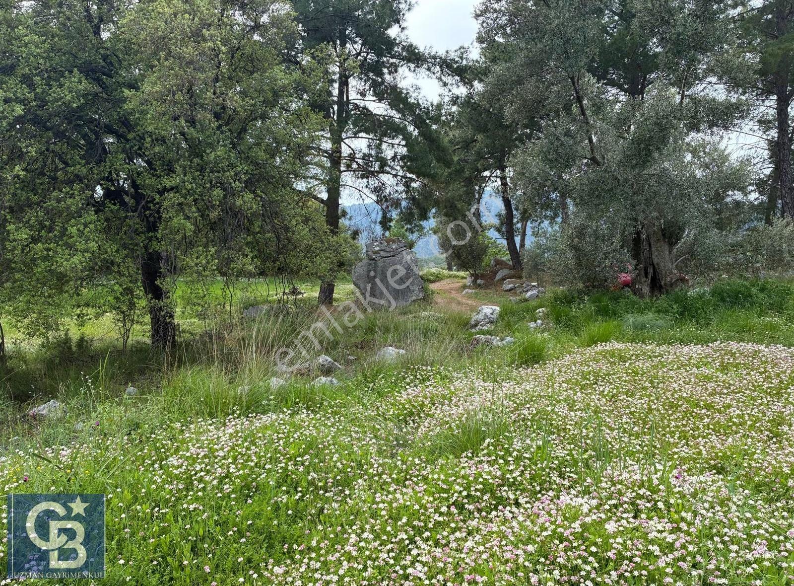 Muğla Dalaman Kayadibi Mahallesinde Çok Kıymetli Bir Arazi. - Görsel 27