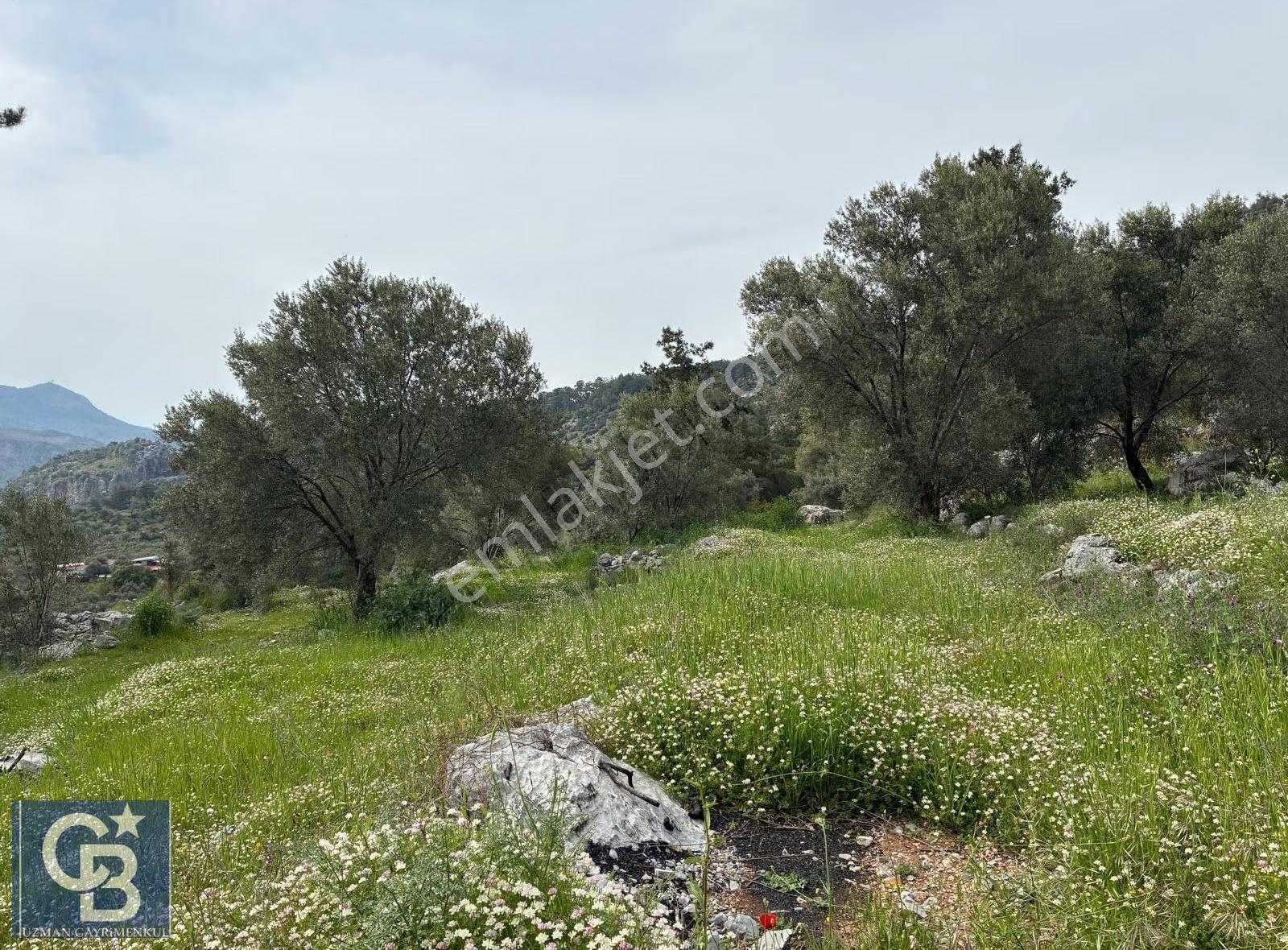 Muğla Dalaman Kayadibi Mahallesinde Çok Kıymetli Bir Arazi. - Görsel 16