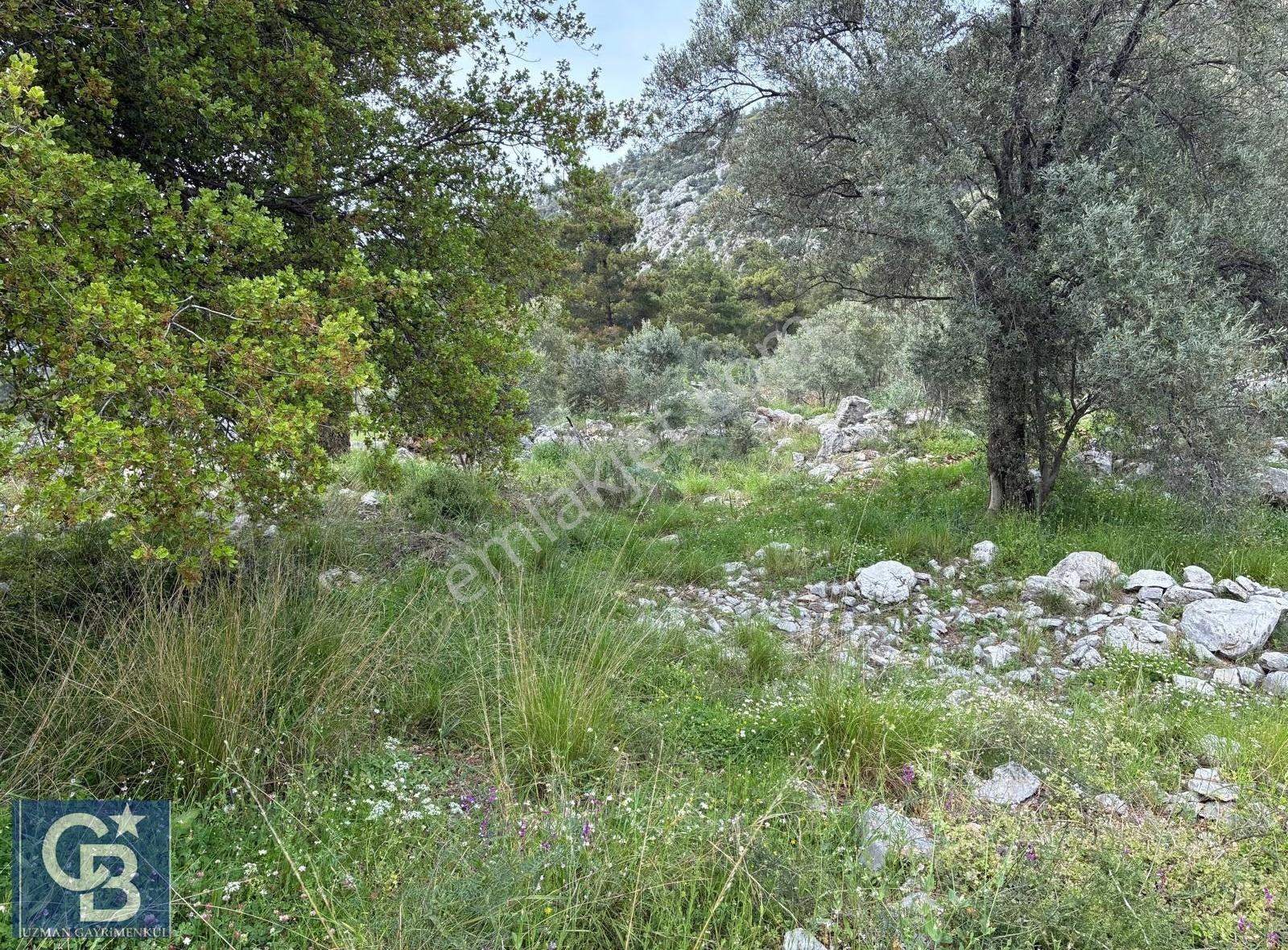 Muğla Dalaman Kayadibi Mahallesinde Çok Kıymetli Bir Arazi. - Görsel 11