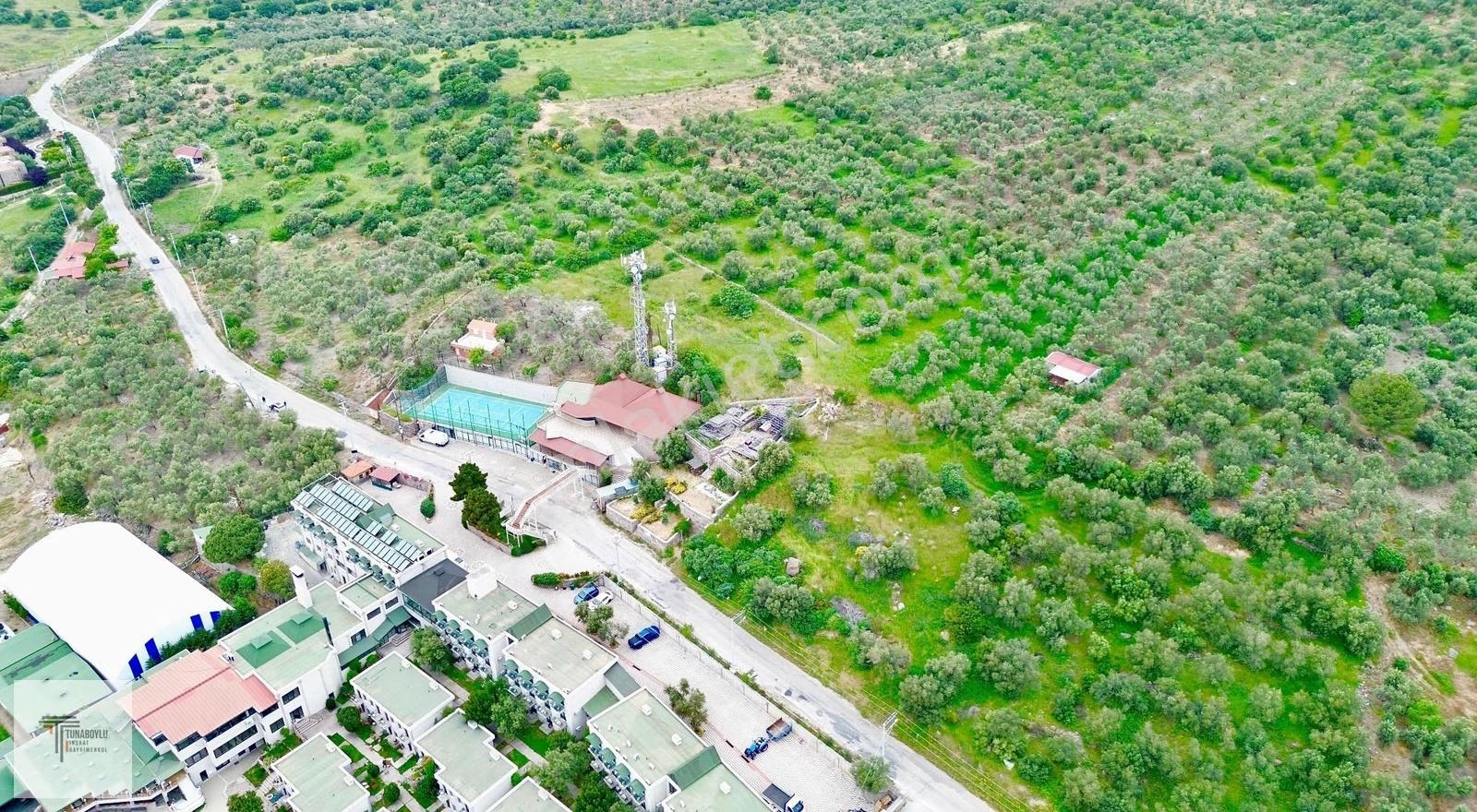▒yetkili Tunaboylu'dan Asos'ta Denize 200m Zeytinlik Fırsatı▒ - Görsel 16