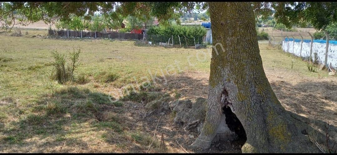 İstanbul Tayakadın Mahallesinde Tek Tapu Satılık Bağ Bahçe - Görsel 2