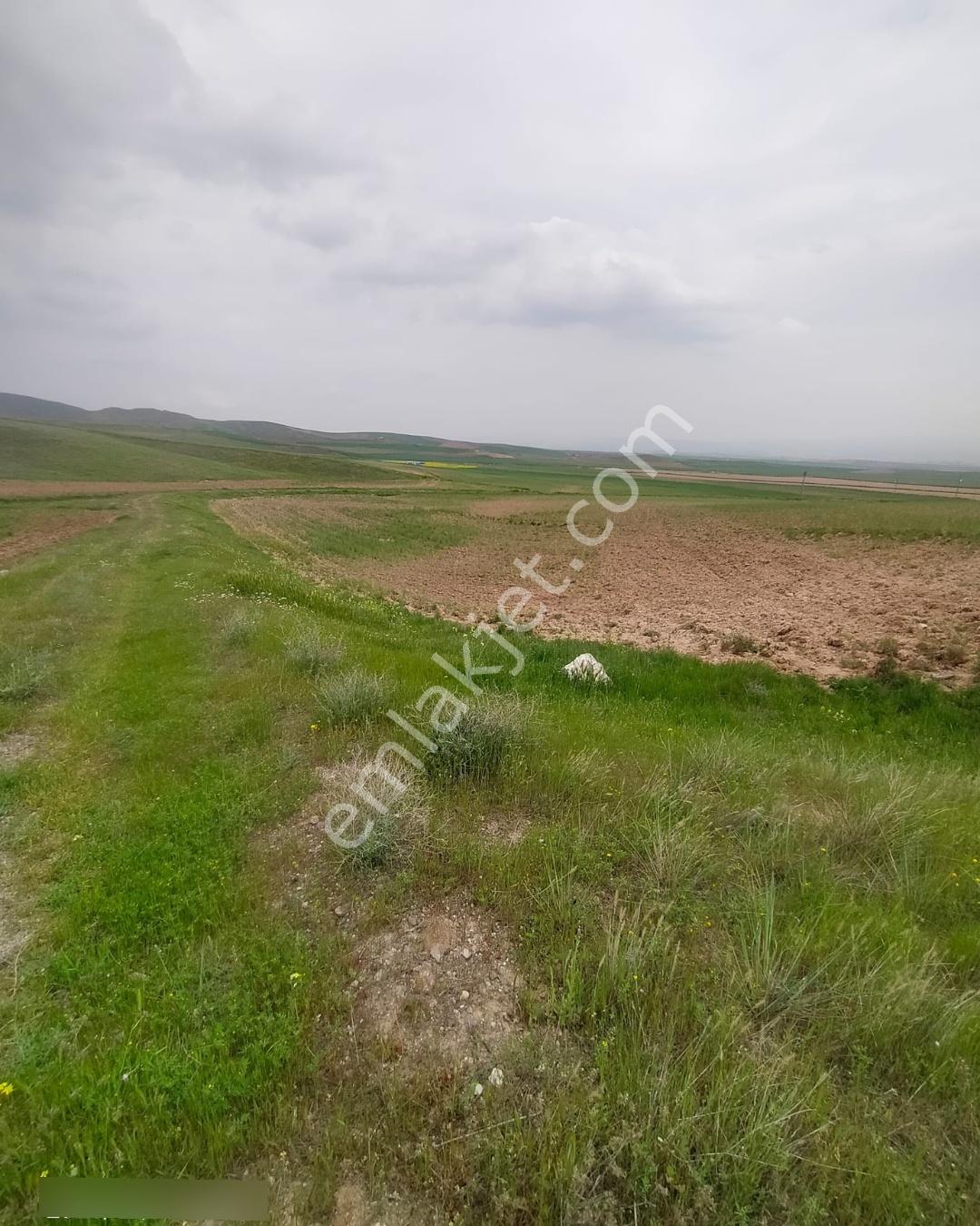 Polatlı Gedikli 6 Dönüm Villa Arsası 4 Villa İzni Altyapı Var - Görsel 25