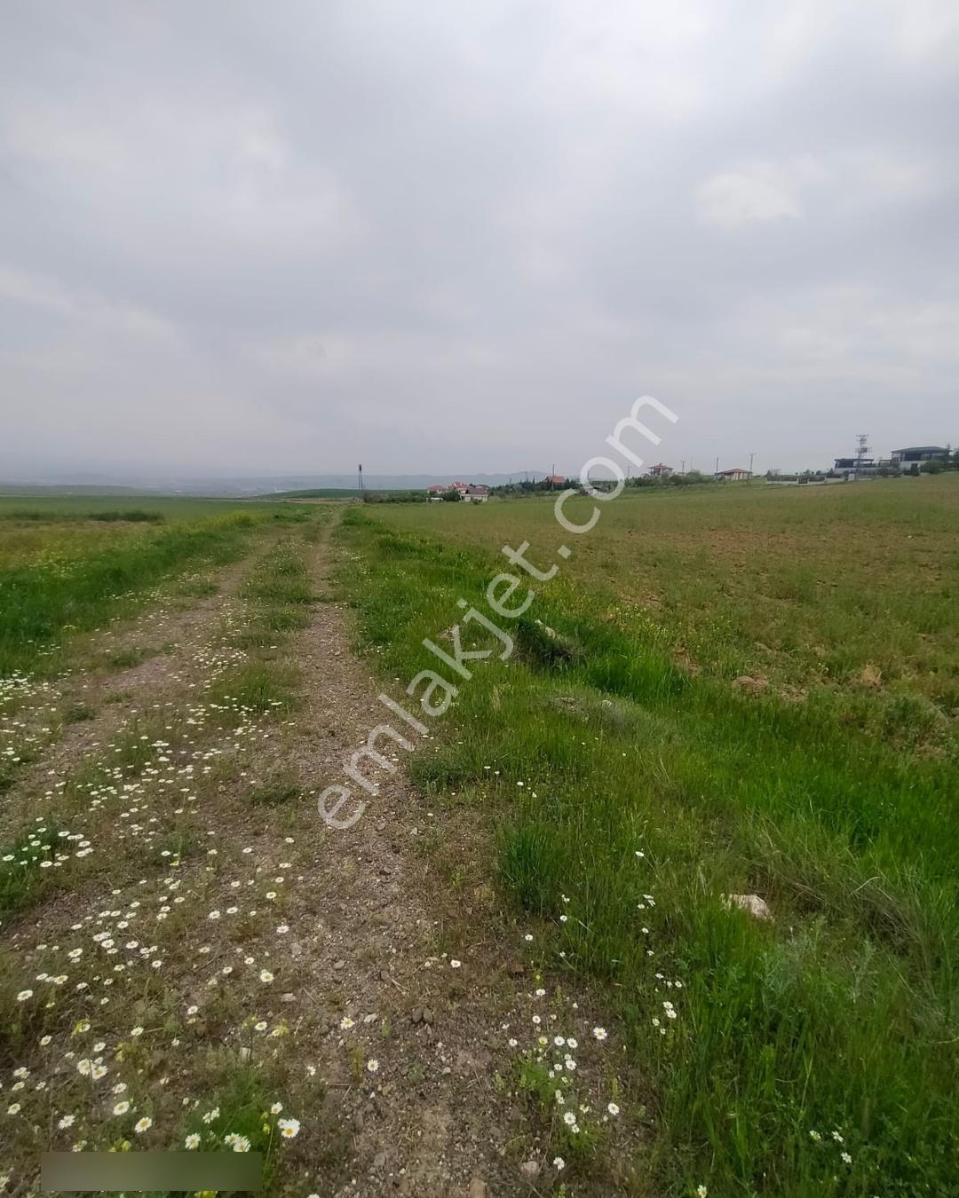 Polatlı Gedikli 6 Dönüm Villa Arsası 4 Villa İzni Altyapı Var - Görsel 18