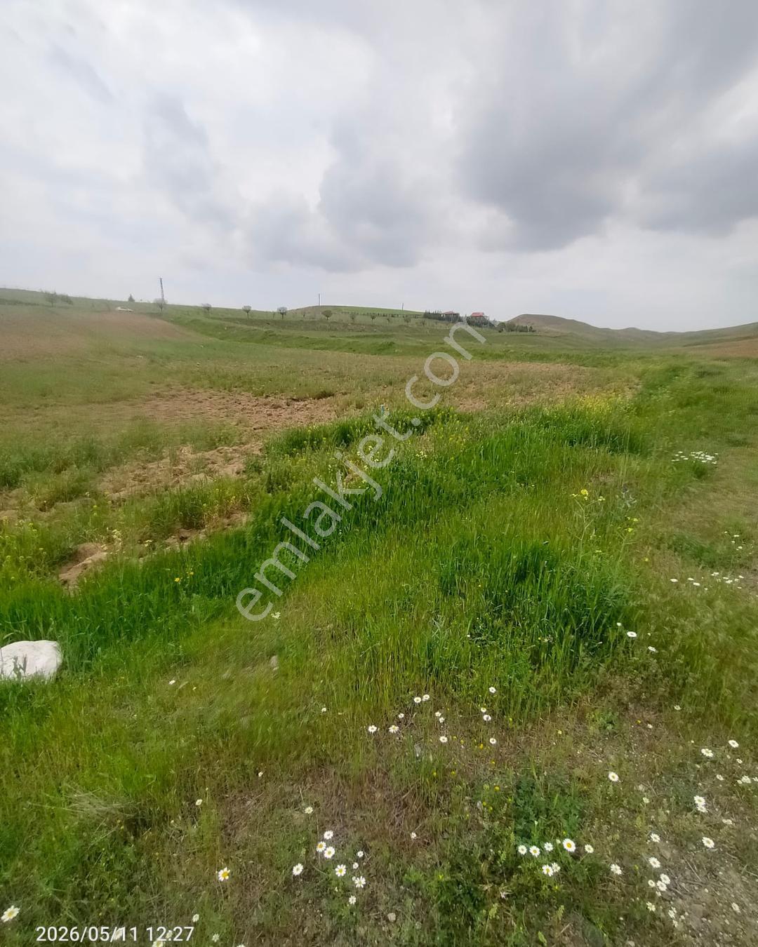 Polatlı Gedikli 6 Dönüm Villa Arsası 4 Villa İzni Altyapı Var - Görsel 16