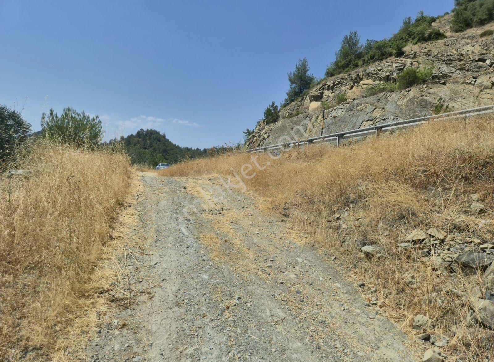 Adaplatinden Taraklı Merkeze 2km Mesafede 3360m2 Ayçiçek Bahçesi - Görsel 7