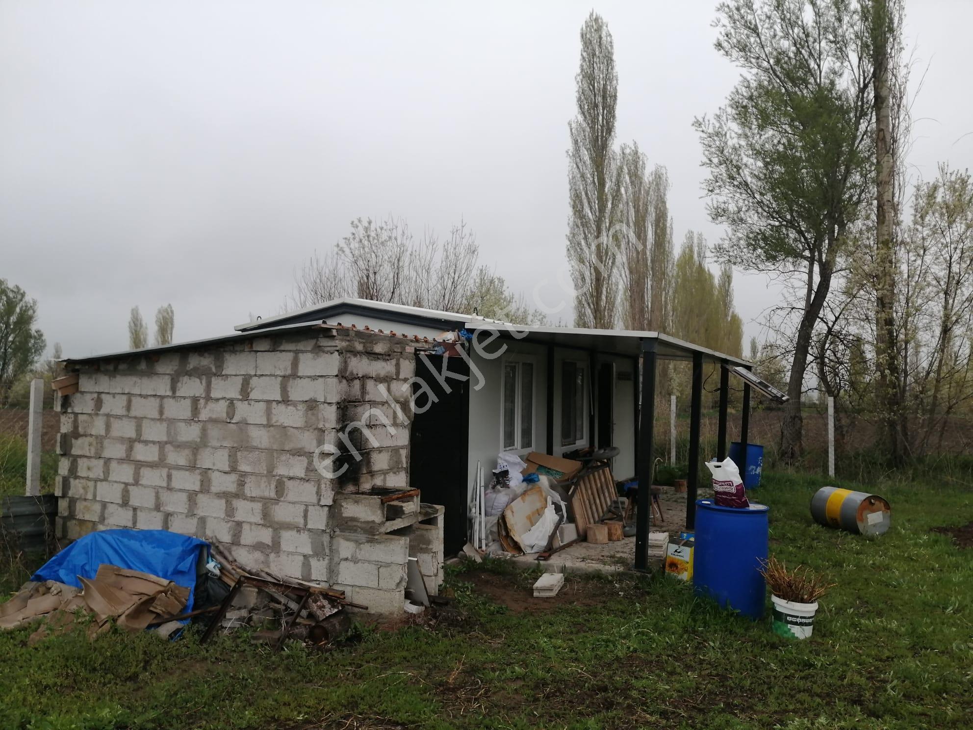Öz Gaye Emlaktan Develi Epçe Mahallesinde Satılık Üzüm Bahçesi