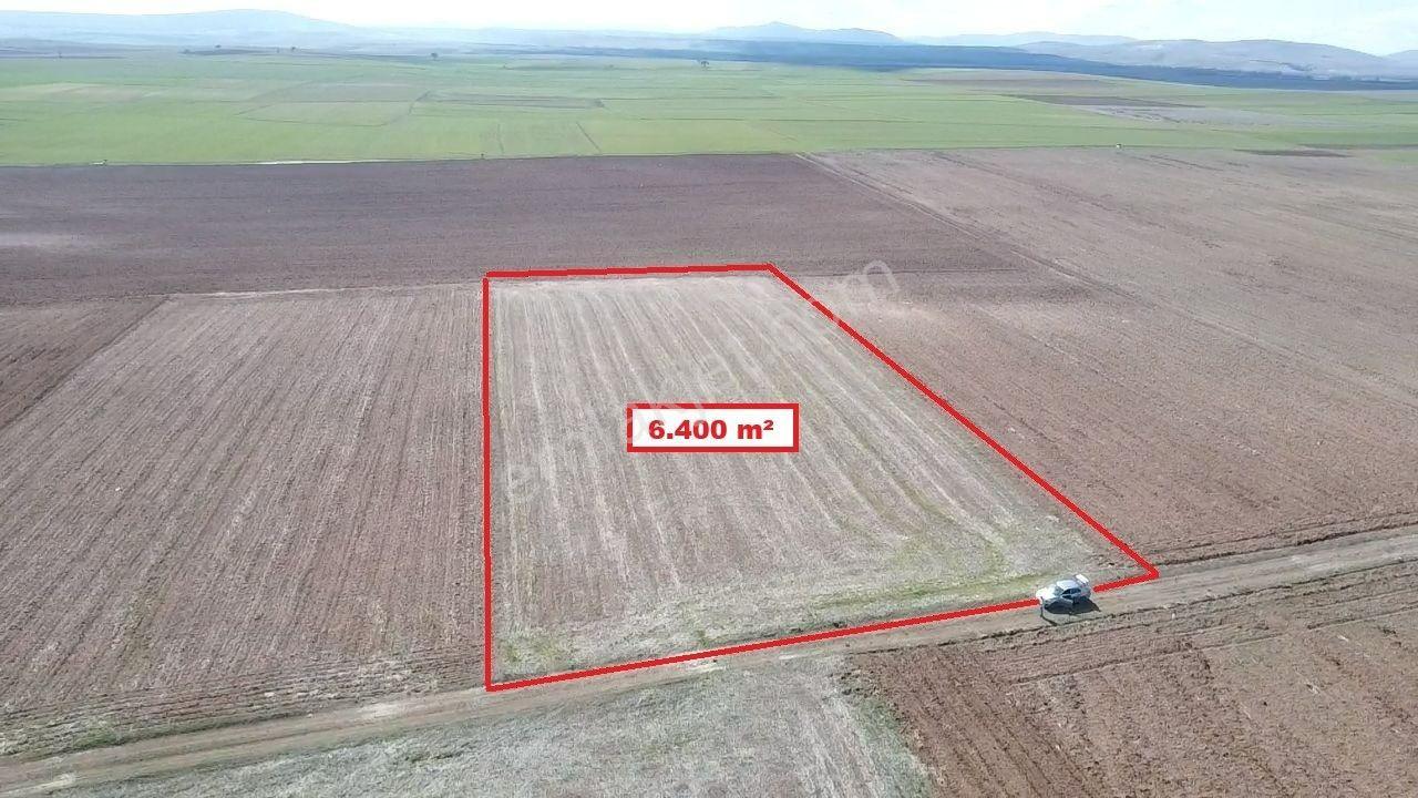 Kütahya Altıntaş Aydınlar' Da 6400 M2 Satılık Tarla
