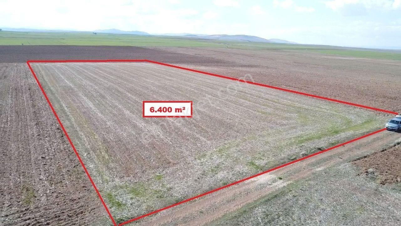 Kütahya Altıntaş Aydınlar' Da 6400 M2 Satılık Tarla - Görsel 9
